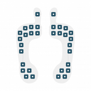 221e FSR Membrane