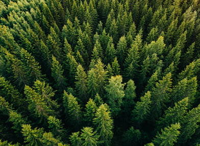 shutterstock_1024452661_MIN ambient quality monitoring for ecosustainability