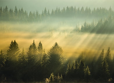 shutterstock_1391387825_MIN 221e Ambient AI monitoring